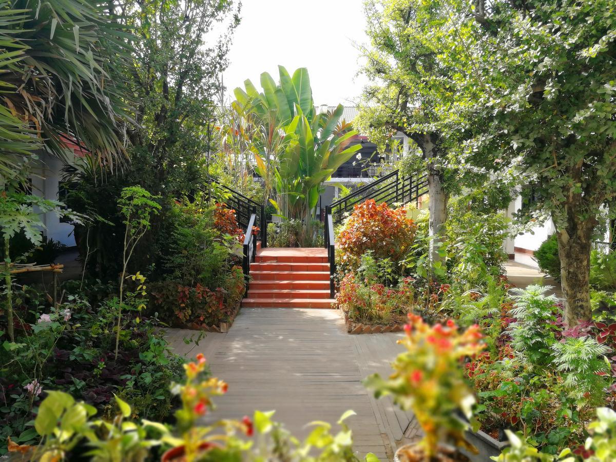 סיאם ריפ Angkor Hotel מראה חיצוני תמונה